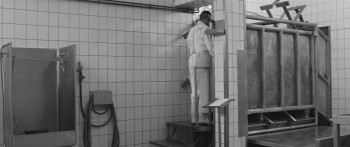 Tikkun (2015) download