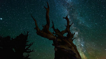 TimeScapes (2012) download