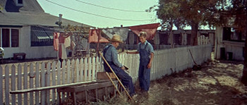 To Hell and Back (1955) download