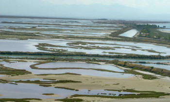 The Miracle of the Sargasso Sea (2019) download