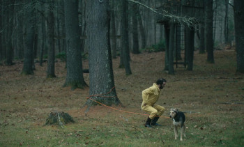 To the Moon (2021) download