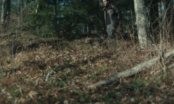 To the Moon (2021) download