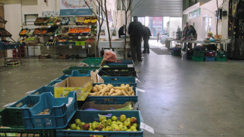 Tomorrow Is Saturday (2020) download