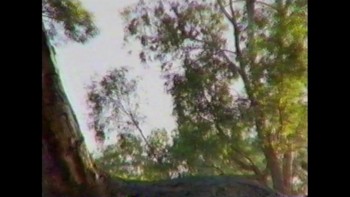 Top Knot Detective (2017) download