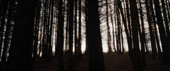 Tornado (2025) download