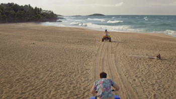 Toxic Shark (2017) download