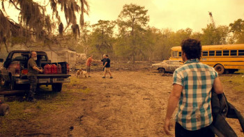 Trailer Park Shark (2017) download