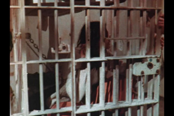 Trailer Trauma Part 4: Television Trauma (2017) download