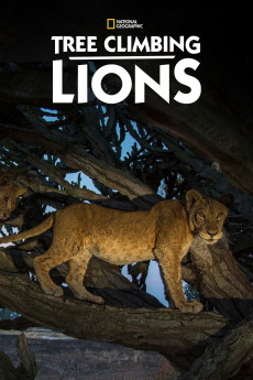 Tree Climbing Lions (2018) download