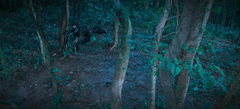 Triggered (2023) download