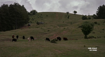 Triumph (2024) download