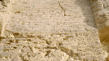 Tut: A Century of Secrets (2022) download