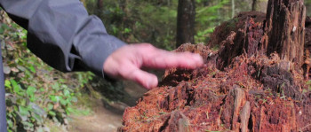 Ultra Low (2018) download