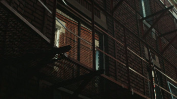 Unexpected Christmas (2025) download