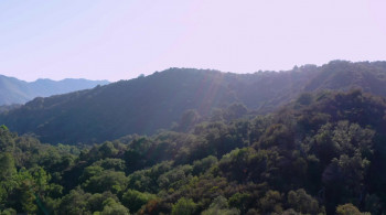 Unfinished (2022) download