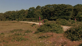 Ungentle (2023) download