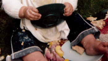 United We Fall (2014) download