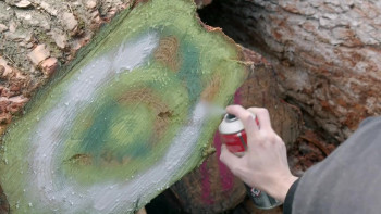 Valldaura: A Quarantine Cabin (2022) download