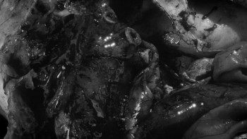 Vampire Zombies... From Space! (2024) download