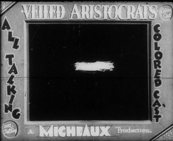 Veiled Aristocrats (1932) download