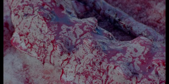 Videotheque (2024) download