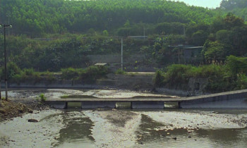 Viet and Nam (2024) download