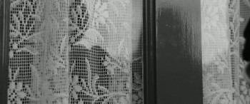 Vindication Swim (2024) download