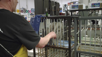 Vinyl Nation (2020) download