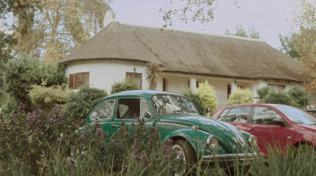 Forever (2016) download