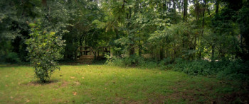 Viridian (2025) download