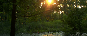 Viridian (2025) download