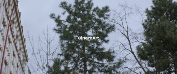 Vlastníci (2019) download