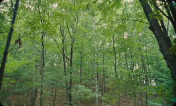 Vulcanizadora (2024) download