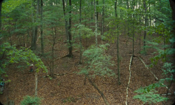 Vulcanizadora (2024) download