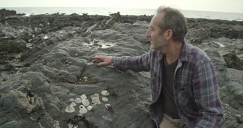 Meren tuomat (2021) download