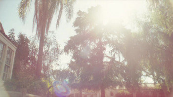 War Dawgz (2025) download