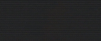 Warden (2024) download