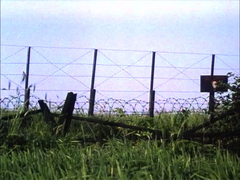 Warrior of the Lost World (1983) download