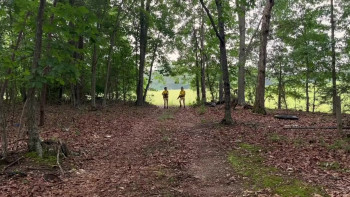 Waspzilla (2024) download