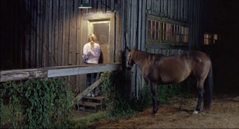 Watchers (1988) download