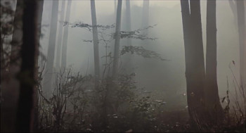 Watchers (1988) download