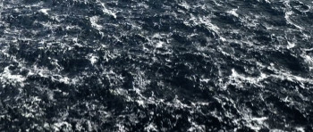 What Lurks Beneath (2024) download