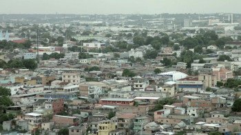 Where Is the Jungle? (2015) download