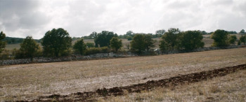 Where Life Begins (2022) download