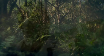 Where the Road Runs Out (2014) download