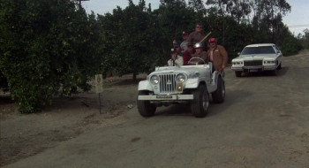 Which Way Is Up? (1977) download