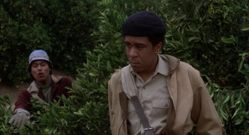 Which Way Is Up? (1977) download