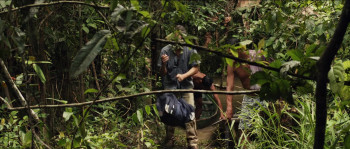 White Elephant (2012) download