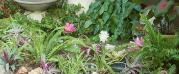 White Widow (2023) download