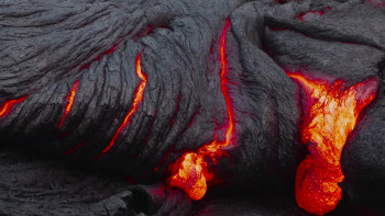 Wild Canary Islands (2021) download